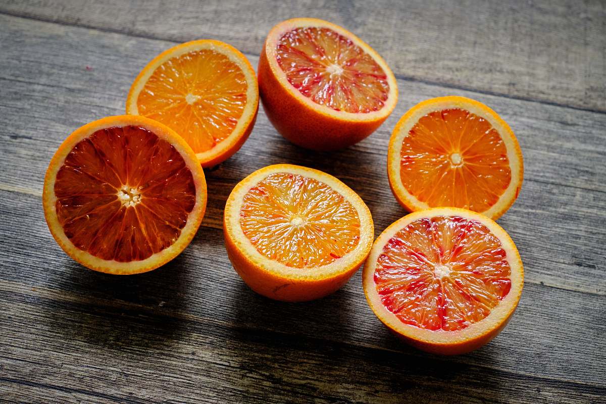 citrus fruit sliced oranges plant